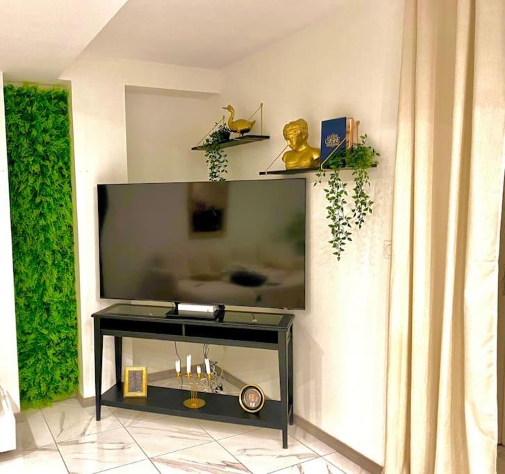 Vaste Tres Lumineux Apartment *